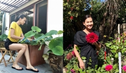 Tình cũ Bằng Kiều hé lộ khu vườn xanh mướt mắt trên đất Mỹ