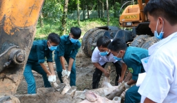 Ba tỉnh miền Đông Nam Bộ phát hiện dịch tả lợn châu Phi
