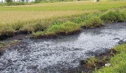 Lội qua mương nước bắt cua đồng, người phụ nữ Hải Phòng bị bỏng hóa chất