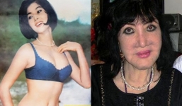 Minh tinh Thẩm Thúy Hằng: Từ nhan sắc 'chim sa cá lặn' đến thảm họa vì phẫu thuật thẩm mỹ