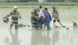 Hà Tĩnh: Vợ nguyên bí thư xã bị sét đánh tử vong khi đi làm đồng