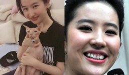 Lưu Diệc Phi chụp ảnh với mèo cưng, antifan soi ngay điểm xấu nhất trên gương mặt