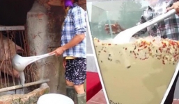Xôn xao chiếc muôi 'khổng lồ' của bà Tân Vlog khuấy trà sữa, nấu lẩu dùng để xúc cám lợn?