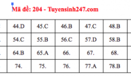  Đáp án gợi ý môn Hóa học mã đề 204 tốt nghiệp THPT quốc gia năm 2019