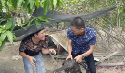 Trường Giang, Mạc Văn Khoa 'mặt dày' rủ nhau xuống miền Tây xin vịt