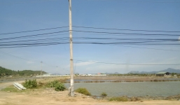 Đi bắt ốc, 4 người trong một gia đình chết đuối thương tâm