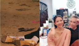 Fan soi chi tiết đặc biệt trong nhà Mỹ Tâm khi bạn gái Phan Mạnh Quỳnh khoe ảnh đến chơi