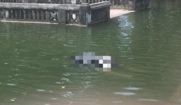 Hà Nội: Phát hiện thi thể một người phụ nữ nổi trên mặt nước