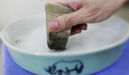 Uống nước bột mài từ sừng tê giác, bé 22 tháng tuổi ngộ độc suýt tử vong