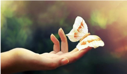 Ở đời hãy làm người biết ơn chứ đừng làm người oán hận