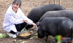 Bố thưởng 300 con lợn cho bất kỳ ai cưới con gái rượu