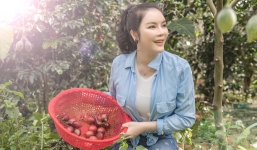Lý Nhã Kỳ miệt mài thu hoạch nông sản trong resort triệu đô