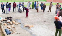 Nghệ An: Hai anh em ruột đi trộm chó tàn độc bị cả làng vây bắt