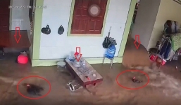 Nghệ An: Nước lũ tràn vào nhà nhanh như chớp, người dân không kịp trở tay