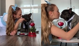 Video: Cô gái tái hiện cảnh 'Người đẹp và quái vật' với chú chó dễ thương của mình