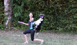 Video: Chó Border Collie trổ tài bắt đĩa bay điêu luyện khiến người xem kinh ngạc