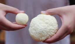 Loại quả mọc đầy miền Tây nay thành đặc sản, có tiền cũng khó mua được