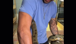 Video: Bị trăn khủng cắn liên tiếp vào tay, người đàn ông vẫn thể hiện thái độ khó tin