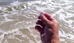 Video: Nhặt được nhẫn kim cương khi đi dò trên bãi biển, người đàn ông có hành động bất ngờ 