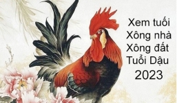 Tết Nguyên đán 2023: Gia chủ tuổi Dậu chọn ai xông nhà, xông đất năm mới thì tốt?