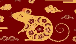 Phạm Hình Thái Tuế lại mắc tam tai năm 2023, người tuổi Tý cần làm gì để hoá giải?