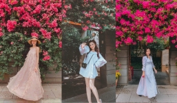 Con đường hoa giấy đẹp nhất Sài Gòn đang trong mùa nở rộ khiến ai cũng muốn dừng lại chụp hình