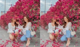 Muốn hoa giấy ra hoa rực rỡ quanh năm chỉ cần tưới 1 thứ gia vị rẻ tiền trong bếp