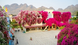 Ngôi trường mầm non phủ hồng màu hoa giấy rực rỡ như trong cổ tích ở Sơn La khiến dân mạng phát sốt