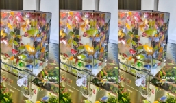 Video: Cách để có 1 bể thuỷ sinh cực ảo, ngắm cá theo một phong cách mới lạ
