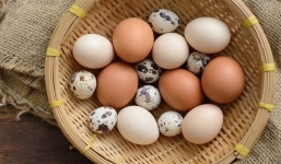 Trứng gà hay trứng vịt tốt hơn, trẻ em nên ăn bao nhiêu quả trứng mỗi tuần?
