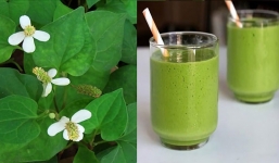 Loại rau mọc nhanh hơn cỏ dại vào mùa hè nhưng được xem là thần dược giải nhiệt, sang Nhật được coi trọng