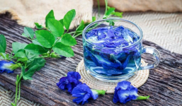Công dụng tuyệt vời của hoa đậu biếc: Vừa có tác dụng làm đẹp, lại có thể ngăn ngừa nhiều bệnh