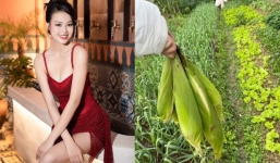 Á hậu Đào Hiền khoe không gian sống khang trang bề thế, vườn rau sạch khiến hội chị em mơ ước