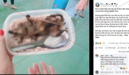 Lãnh đạo Sở GD-ĐT và huyện Nam Giang (Quảng Nam) thông tin 'bữa cơm có thịt chuột của học sinh vùng cao' 