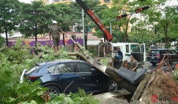 Mưa giông gió lốc, cây đổ trúng xe: Bỏ tiền mua bảo hiểm đắt đỏ, làm sao để được đền nhiều tiền nhất? 