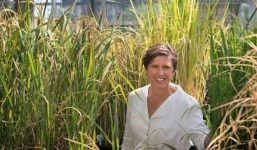 Giáo sư Mỹ khuyên người trẻ Việt hướng đi thành công từ lĩnh vực Nông nghiệp