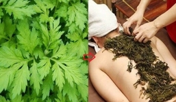 Loại cây nhỏ bé rất thân thuộc với người Việt, nhưng ít người biết đến tác dụng kỳ diệu của nó