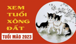 Chủ nhà tuổi Mão chọn người xông đất, xông nhà năm 2023 Quý Mão để vạn sự hanh thông