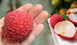 6 lợi ích vàng của việc ăn vải thiều mà ít người không ngờ tới