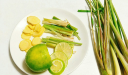 Sả: Loại cây giá rẻ nhưng công dụng thần kỳ, 1001+ bài thuốc chữa bệnh ít người biết