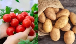 11 loại thực phẩm tuyệt đối không nên cho vào tủ lạnh