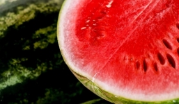 Loại quả 'thần thánh' của mùa hè đâu đâu cũng thấy, vừa đẹp da lại giúp chống lại các bệnh mãn tính 