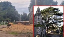 Cây tuyết tùng Lebanon 800 tuổi quý hiếm bị chặt hạ