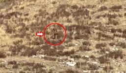 Đang mải mê tâm sự, một cặp đôi sững sờ khi tận mắt thấy quái vật Bigfoot bí ẩn nhất hành tinh