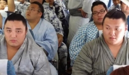 Nhóm đô vật sumo vượt quá trọng lượng cho phép lên máy bay, hãng hàng không làm ngay điều này