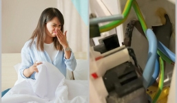 Cô gái ngửi thấy mùi hôi bốc ra từ phòng ngủ, vội vàng gọi thợ sửa ống nước thì phát hiện ra điều kinh hoàng