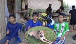 Ba thiếu niên đi lạc trong khu rừng cấm suốt ba ngày, thoát chết thần kỳ khi gặp một chú chó