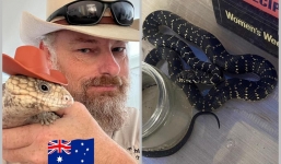 Nhầm tưởng rắn kim cương không có nọc độc, người đàn ông mang về nhà làm thú cưng và cái kết hú hồn