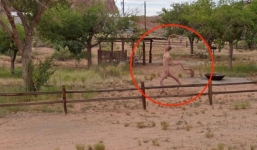 Sự thật về sinh vật 'trần trụi' kỳ quái xuất hiện trên đường phố khiến ai nấy cũng kinh hãi