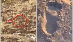 Xuất hiện dấu chân khổng lồ được cho là quái vật Bigfoot ở Úc